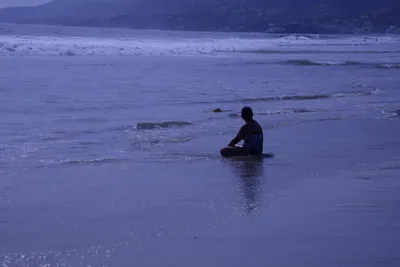 DSC_2186 (Large).JPG